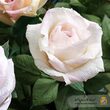 Hartie creponata elastica floristica 60gr, 50 cm x 2.5 m - LIBR