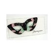 QGZQ-001 - Quilling starter kit - DP CRAFT