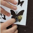 CT2A4001 Set 1 sablon adezive A4 si o coala termocolanta cu paiete - Butterfly - Cut Cut Cut - Darwi