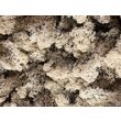 Licheni decorativi stabilizati - precuratati - 100 gr. - diferite culori - Phoce