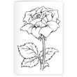 SPECN-C-MKIT-SAY - Kit pt confectionat felicitari Colorista - Say it with Flowers - Crafters