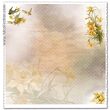 SCL539 - Hartie scrapbooking - 200g, 31,5 x 32,5 cm - ITD