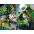 Moss effect paste - Pasta efect muschi - 100ml - Pentart
