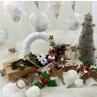 DIAK-013 Stea plastic transparent 10 cm - DP CRAFT