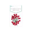 DPZA-005 Set 24 buc fructe de padure bordo 1.2 cm - DP CRAFT