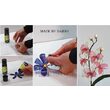 DISCONTINUU Culori window colour - 80 ml Darwi