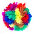 CEPI-102 - Set 5g pene asortate colorate, 5 - 12 cm , nuante de baza - DP CRAFT