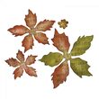 36 - 658261 Cutter Bigz Tattered Poinsettia - Sizzix