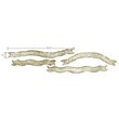 26 - 659434 Cutter Sizzlits banda - Tattered Curvy Banners by Tim Holtz - Sizzix