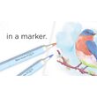 SPECN-AQ12-NAT Set 12 Markere Spectrum Aqua - Nature - Crafters Companion