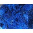 Licheni decorativi stabilizati - precuratati - 100 gr. - diferite culori - Phoce