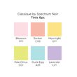 SPECN-CS6-TIN Set 6 markere Spectrum Classique TINTS - Crafters Companion