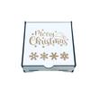 Cutie cu ornamente - fulgi - C-ART