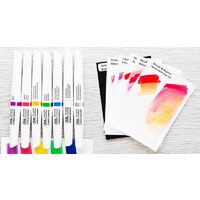 0202 Markere Winsor - Pigment marker - LICHIDARE STOC