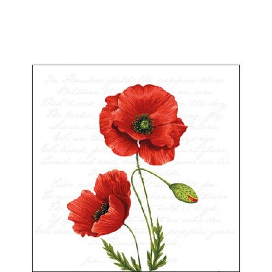 PAK3 - Pachet 20 servetele 25 x 25 cm - 12516120 - Ambiente