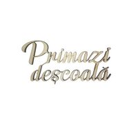 PRIMA ZI DE SCOALA - 10CM C-ART