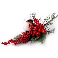 880705 - Ramura artificiala de fructe de padure cu bumbac - STKL