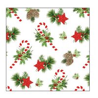 PAK38 - Pachet 20 servetele 25 x 25 cm - 32516870 - Ambiente