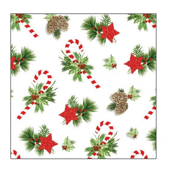 PAK38 - Pachet 20 servetele 25 x 25 cm - 32516870 - Ambiente