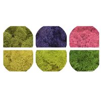 Licheni decorativi - precuratati - 100 gr. - diferite culori - SCND