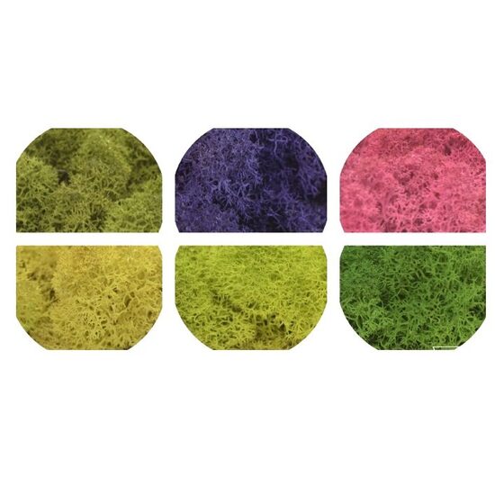 Licheni decorativi - precuratati - 100 gr. - diferite culori - SCND