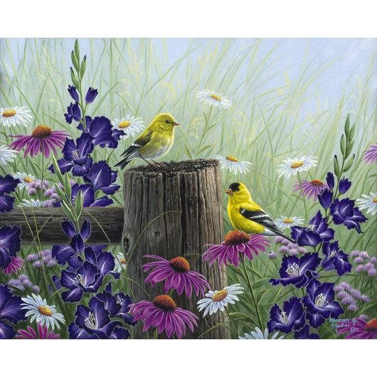 LICHIDARE STOC - FA10003-Y Set pictura pe numere Goldfinch Birds - F-ART
