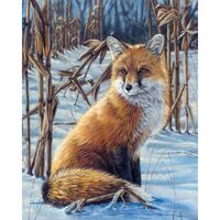 LICHIDARE STOC - FA10038-Y Set pictura pe numere Fox In The Snow - F-ART