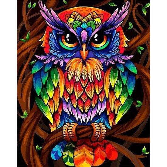 LICHIDARE STOC - PN2024-Y Set pictura pe numere Colorful Owl - F-ART