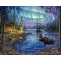 LICHIDARE STOC - FA10023-Y Set pictura pe numere Moose and aurora borealis - F-ART
