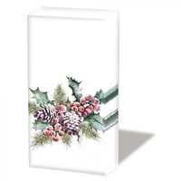 32215570 Set 10 servetele 21.5x22cm Ambiente