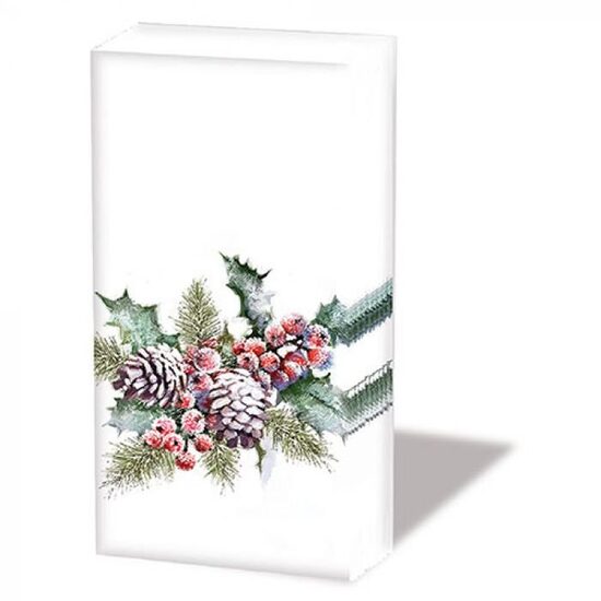 32215570 Set 10 servetele 21.5x22cm Ambiente