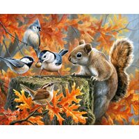 FA10004-Y Paint by numbers Figured_Art Mischievous Squirrel 40x50cm already framed