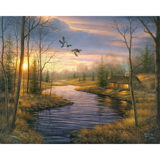 FA10024-Y Set pictura pe numere Country house at dusk - F-ART
