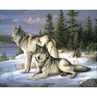 LICHIDARE STOC - FA10030-Y Set pictura pe numere Wolves Couple - F-ART