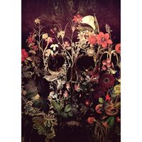 LICHIDARE STOC - PN1770-Y Set pictura pe numere Calabera De Flores - F-ART