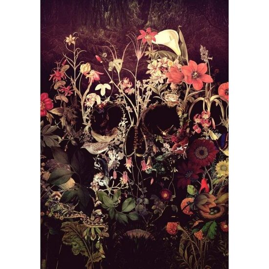 LICHIDARE STOC - PN1770-Y Set pictura pe numere Calabera De Flores - F-ART