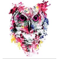 LICHIDARE STOC - PN2232-Y Set pictura pe numere Modern Pink Owl - F-ART