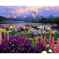 LICHIDARE STOC - PN950-Y Set pictura pe numere Flowers and Lake near the Mountain - F-ART