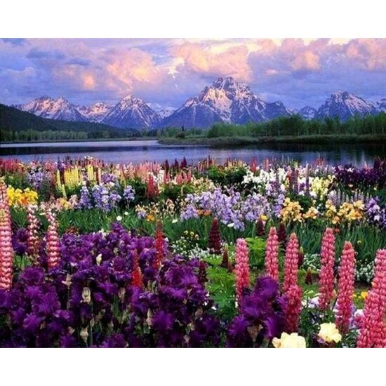 LICHIDARE STOC - PN950-Y Set pictura pe numere Flowers and Lake near the Mountain - F-ART