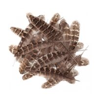 CEPI-111 - Set 5 gr pene decorative rata - Dp Craft