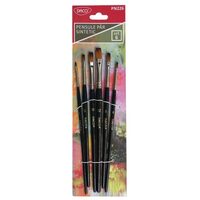 PN226 - Set 6 pensule sintetice drepte - Daco