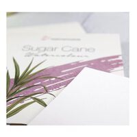10627190 Top 10 coli 50x65 cm, 290gr, Sugar Cane watercolour - Hahnemuhle