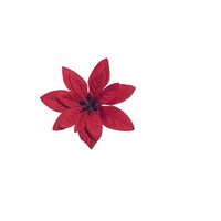 Craciunita , 8.5 cm - rosie - ANDA