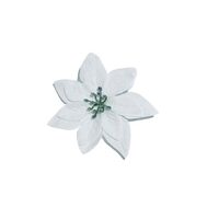 Craciunita , 13 cm - alba - ANDA