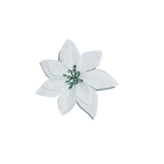 Craciunita , 13 cm - alba - ANDA