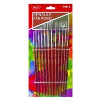 PN12 Pensule set 12 par ponei DACO