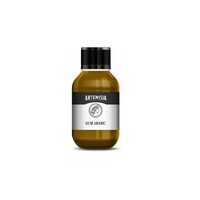 47079 Guma arabica 100 ml Artemisia - Pentacolor