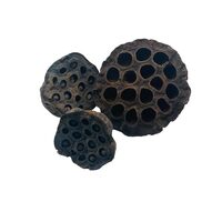 Set 50gr plante uscate - lotus - ANDA