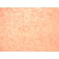 204718545 - Hartie de matase flesh 50 70 - Heyda