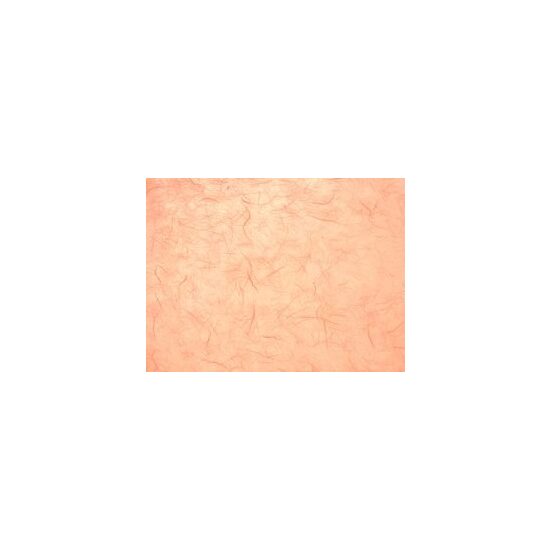 204718545 - Hartie de matase flesh 50 70 - Heyda
